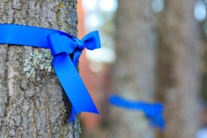 blue ribbon tied on tree to support police officers